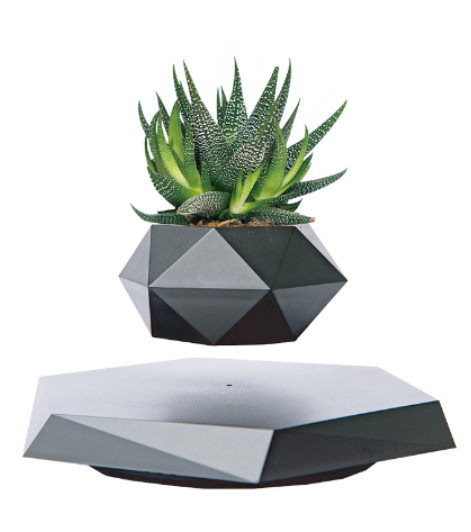 FloatBloom Bonsai Pot