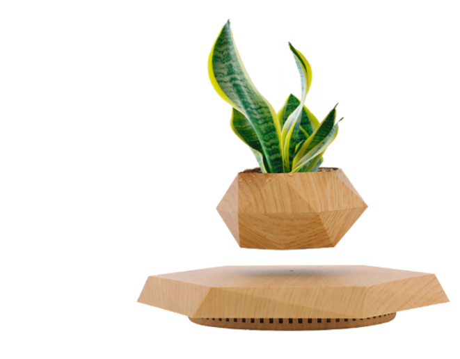 FloatBloom Bonsai Pot