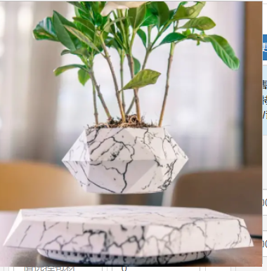 FloatBloom Bonsai Pot