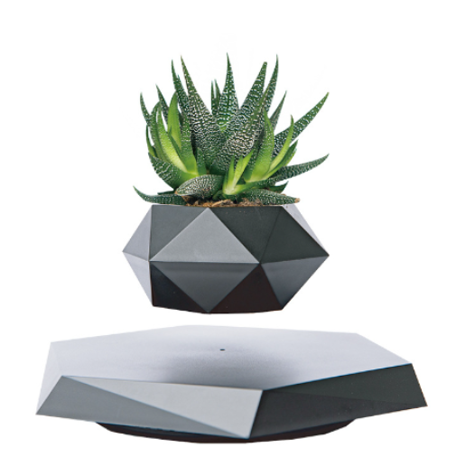 FloatBloom Bonsai Pot