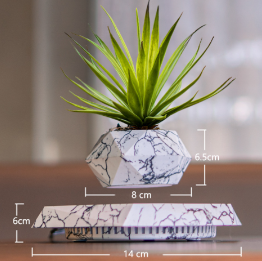 FloatBloom Bonsai Pot