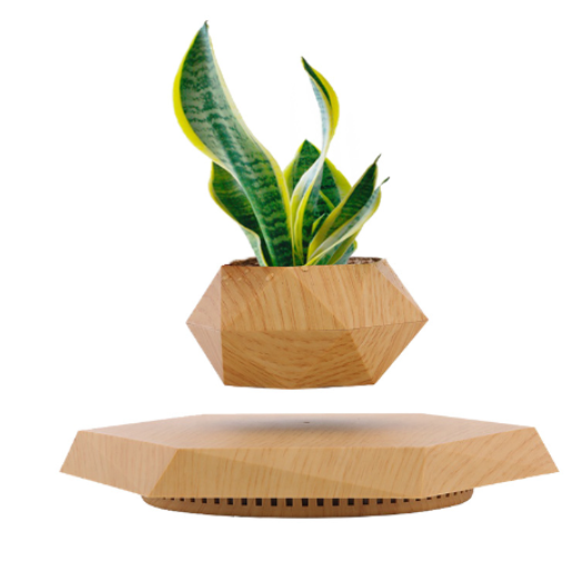 FloatBloom Bonsai Pot