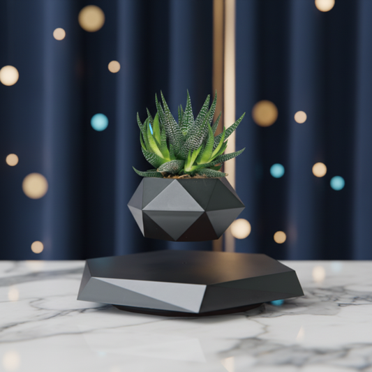 FloatBloom Bonsai Pot