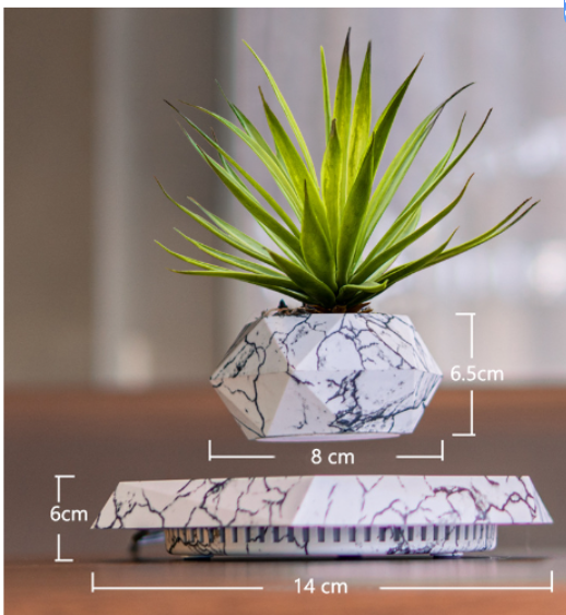 FloatBloom Bonsai Pot